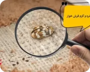 ویران کننده ی فرش