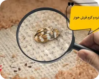 ویران کننده ی فرش